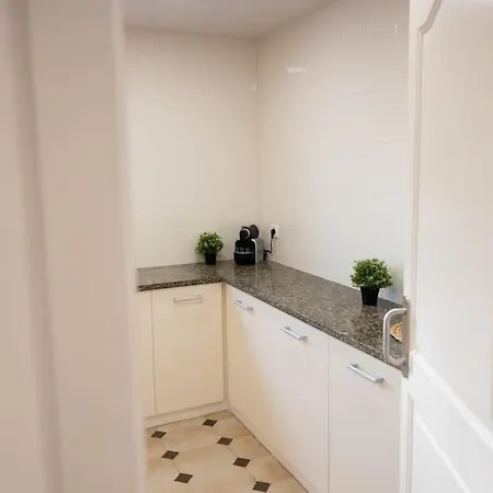 Penthouse With A 80m2 Terrace Near The Apartment